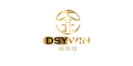 DSYWIN Casino 