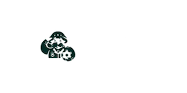 General Casino 