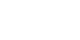 VIP Spins Casino