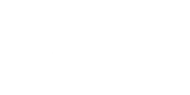 White Lion Casino 