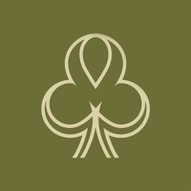 Dublinbet Casino