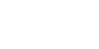 VIP Spins Casino